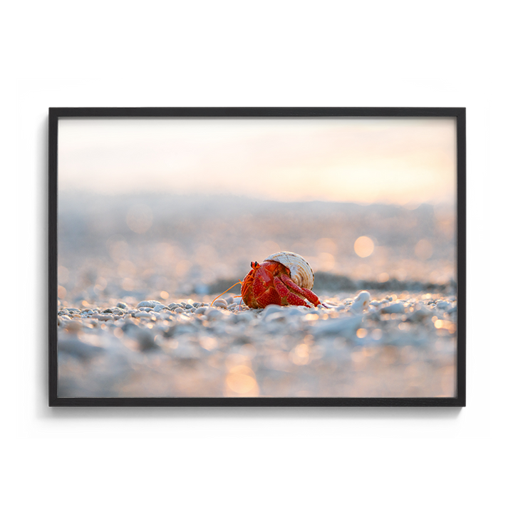 Strawberry Sparkle - Strawberry Hermit Crab