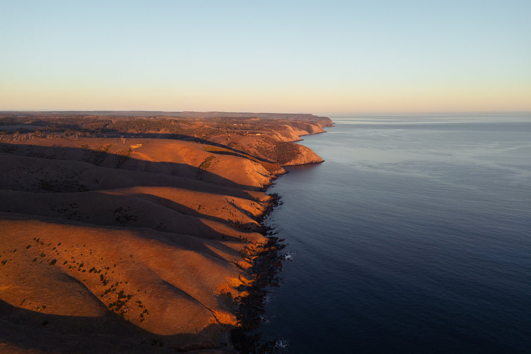 Kangaroo Island - The Australian Galapagos Workshop - May 2025