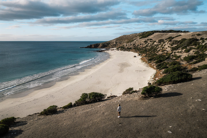 Kangaroo Island - The Australian Galapagos Workshop - May 2025