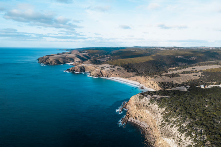 Kangaroo Island - The Australian Galapagos Workshop - May 2025