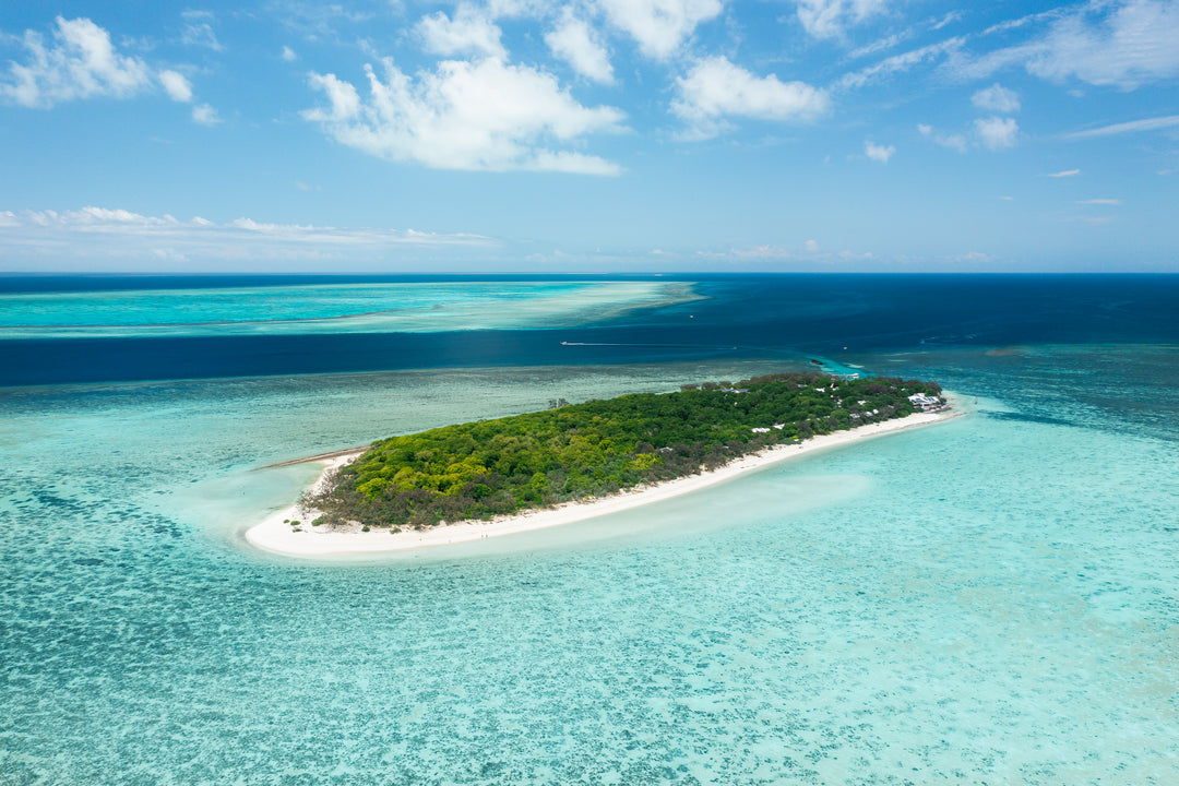 Heron Island - Turtle Hatchlings Workshop - March 2025