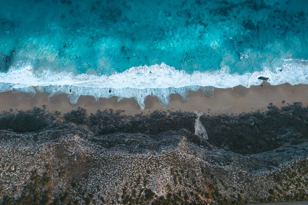 Kangaroo Island - The Australian Galapagos Workshop - May 2025