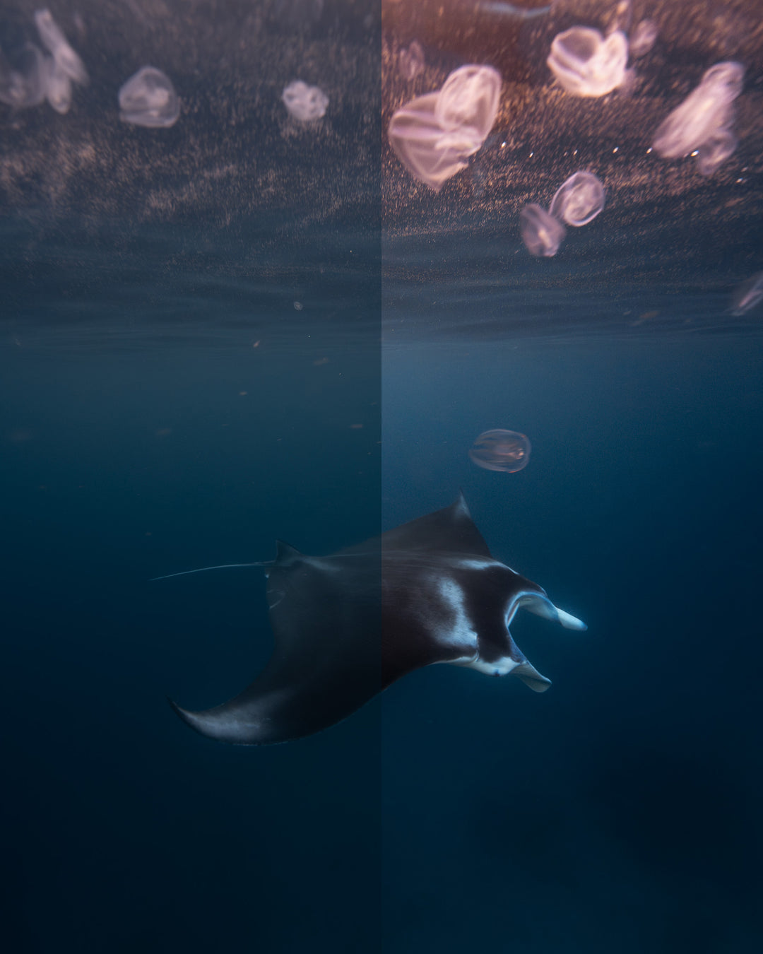 The Underwater Preset Collection