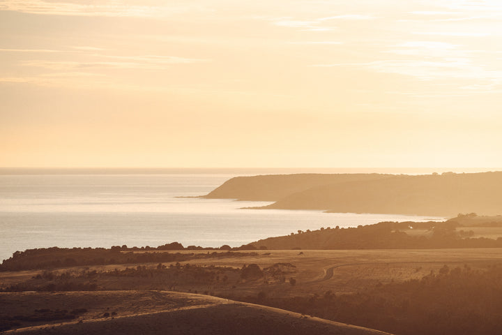 Kangaroo Island - The Australian Galapagos Workshop - May 2025