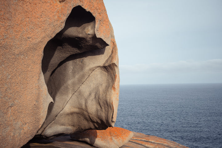 Kangaroo Island - The Australian Galapagos Workshop - May 2025