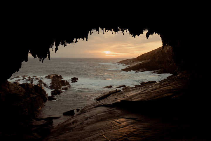 Kangaroo Island - The Australian Galapagos Workshop - May 2025