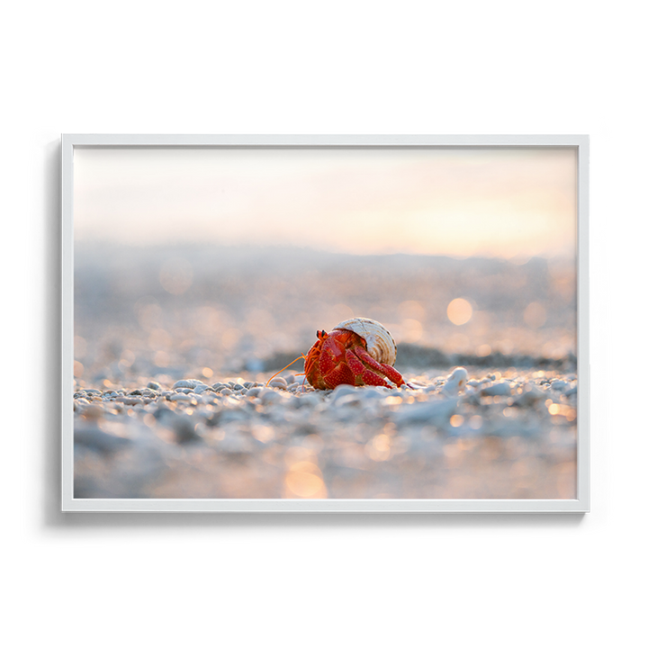 Strawberry Sparkle - Strawberry Hermit Crab